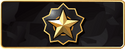 Distinguished Master Guardian rank icon in CS2