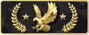 Legendary Eagle Master rank icon in CS2