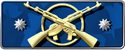 Master Guardian Elite rank icon in CS2